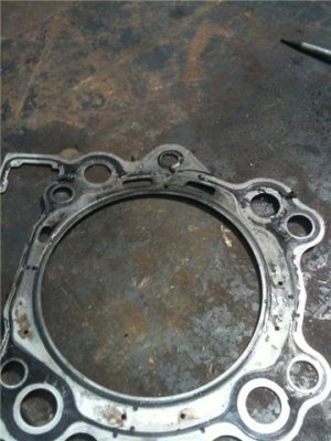 Head Gasket top 2.jpeg