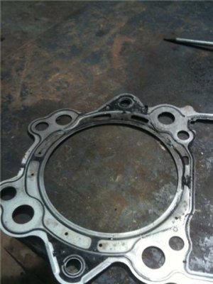 Head Gasket Bottom 2.jpeg