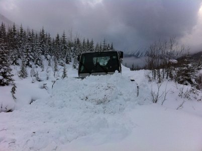 Grooming Renshaw Nov. 2011 004.jpg