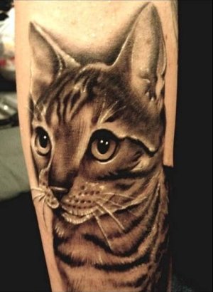 tabby-cat-tattoo1.jpg