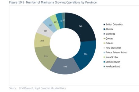 marijauna-grow-ops-canada.jpg