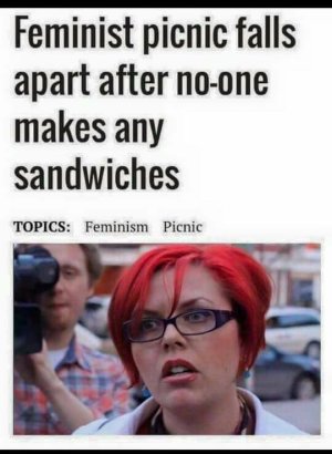 no sandwiches.jpg