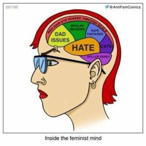 feminist brain.jpg