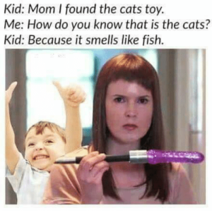kid-mom-i-found-the-cats-toy-me-how-do-14113451.png