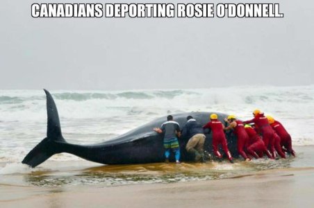 deporting rosie.jpg