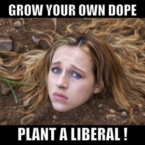 grow dope.jpg