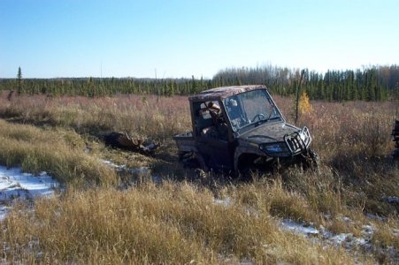 Chin Moose 2009 061.jpg