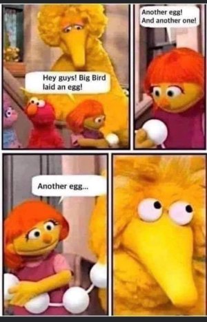 big bird.jpg