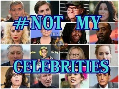 not celebs.jpg