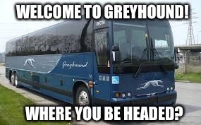 gryhound.jpg