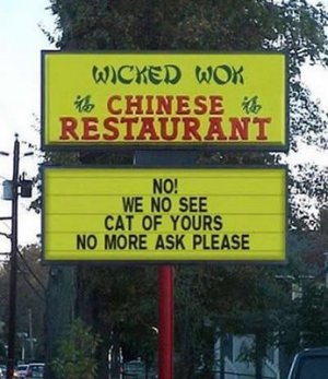 chineese restraunt no see cat.jpg