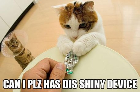 shiny.JPG