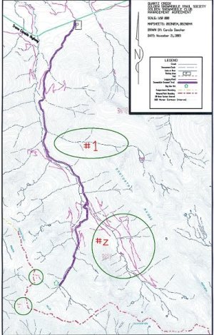 Quartz Map 01.JPG