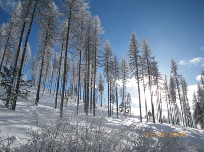 dec 28 2008 sledding 003.jpg