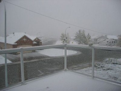 snow2009.jpg