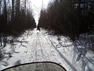 Feb 21-snowmobiling Whitecourt.jpg