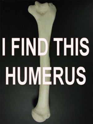 humerus.jpg