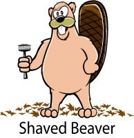 shaved%20beaver.jpg