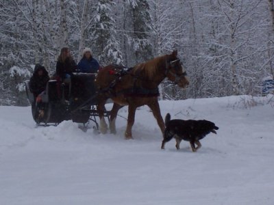 Sleigh Ride 039.jpg