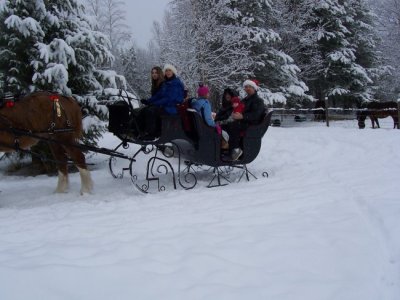 Sleigh Ride02.jpg