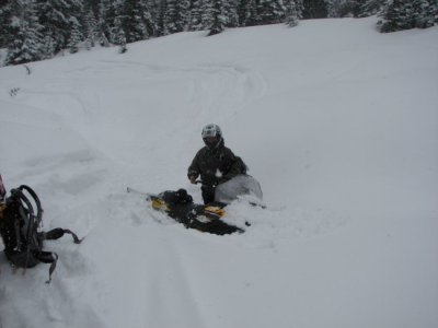 Sleddin 009.jpg