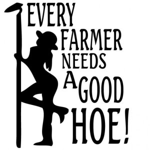 cowgirlup22.jpg