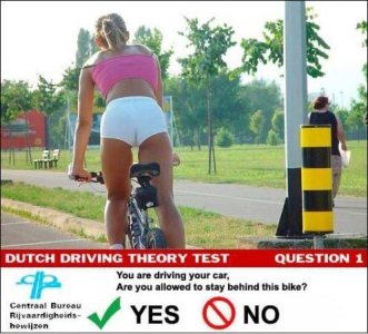 driving test.jpg