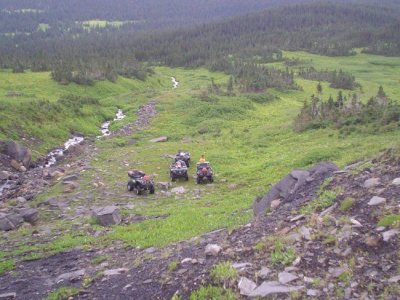 Tumbler Ridge summer 06 027.jpg