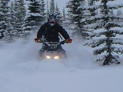 Shreddin Fernie Pow 016.jpg