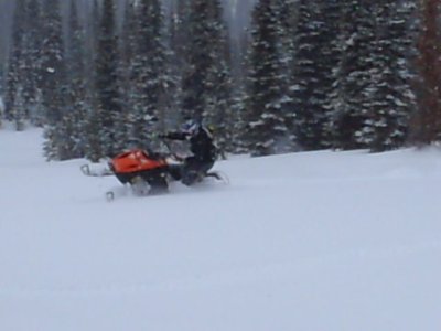 Shreddin Fernie Pow 034.jpg