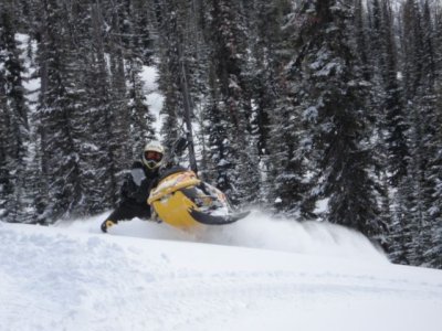 Shreddin Fernie Pow 065.jpg