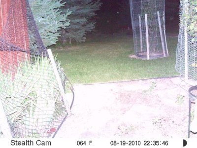 TrailCam1.jpg