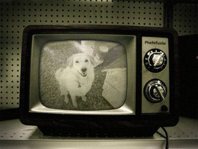 Turbo on TV.jpg