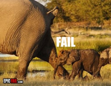 parenting-fail-elephant-poop.jpg