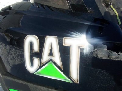 CAT 009.jpg