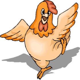 xcitefun-chicken-picture1.jpg