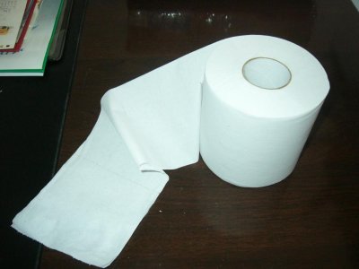 disposable_toilet_paper_tissue.jpg