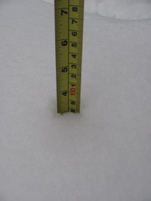 nov snow 005.JPG