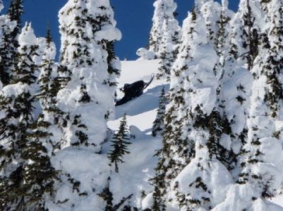 CURTIS ABOVE CABIN.jpg