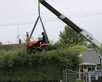 REDNECK TREETRIM.jpg