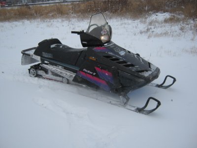 baileys sled 001.JPG