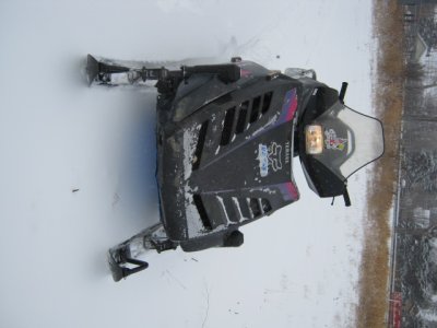 baileys sled 002.JPG