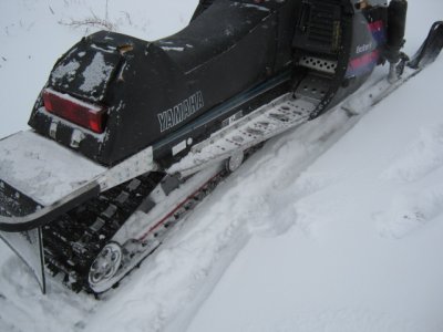 baileys sled 003.JPG