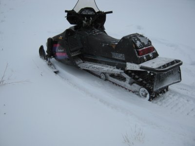 baileys sled 004.JPG