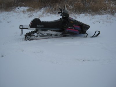 baileys sled 005.JPG