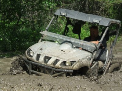 Rhino in the Mud hole.jpg