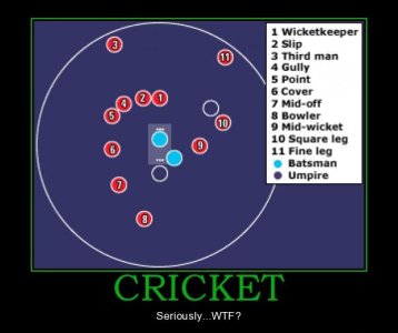 cricket2.jpg