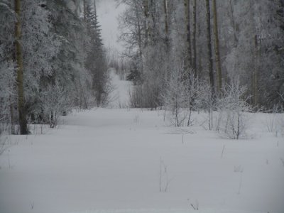 Sledding Groat Creek 016.jpg