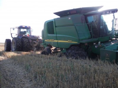 harvest 2010 054.jpg