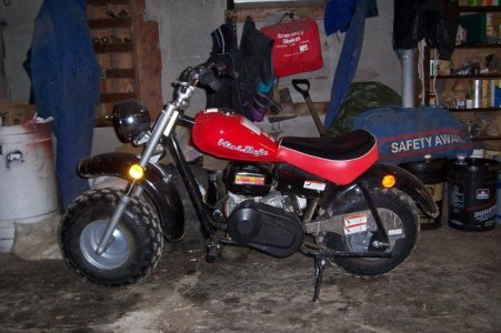 mini bike.jpg